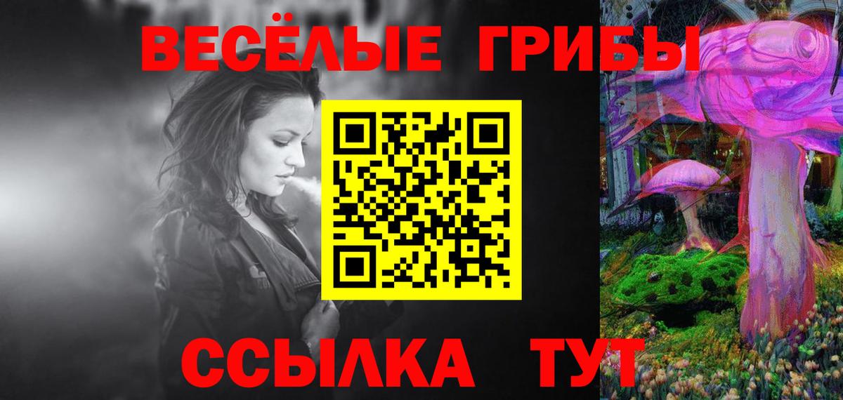 Галлюциногенные грибы Psilocybine cubensis Нефтекамск