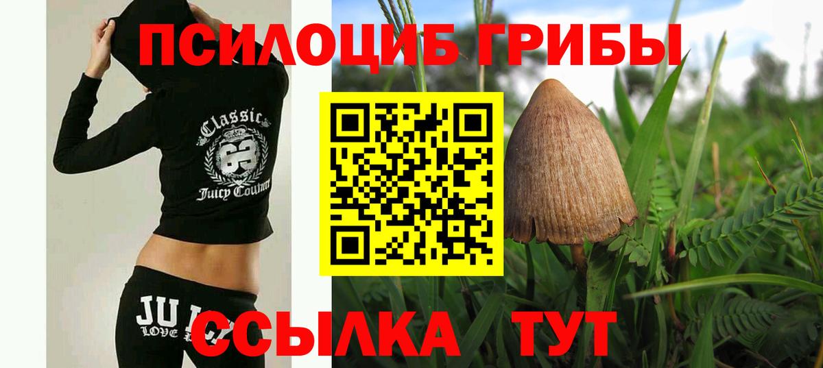 Псилоцибиновые грибы GOLDEN TEACHER  Вход с VPN  Псилоцибиновые грибы MAGIC MUSHROOMS  Нефтекамск 